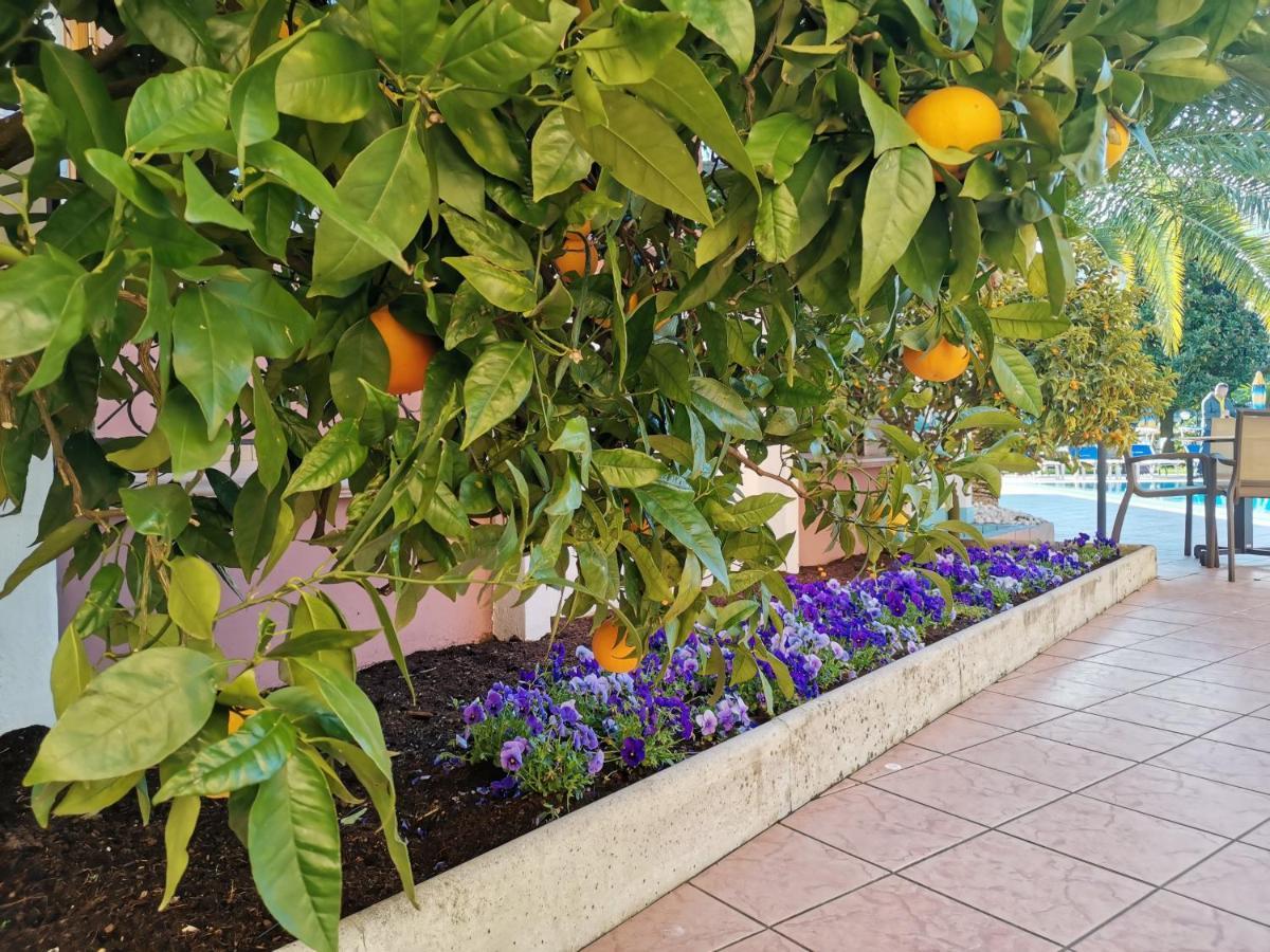 Sunlake Hotel Riva del Garda Exterior photo